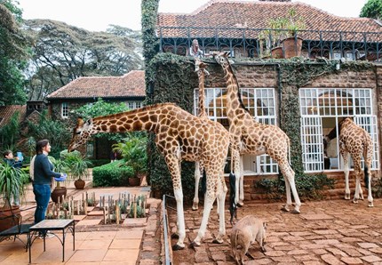 Pianifichi le vacanze? Scopri gli hotel "degli" animali